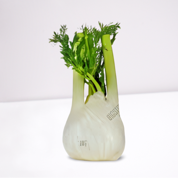 Organic Fennel-Bulb 1kg