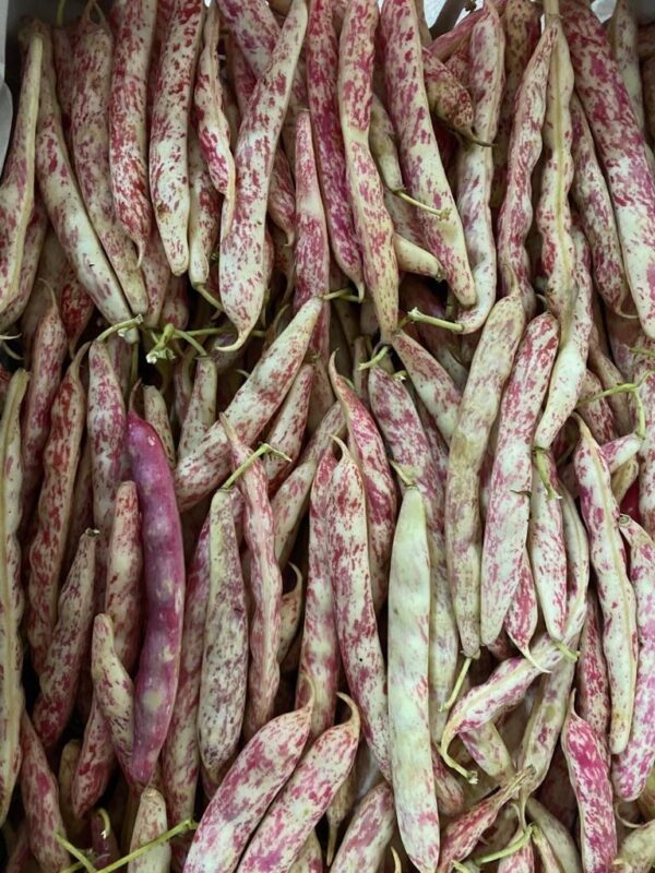 Organic Aishe Khanom 1kg