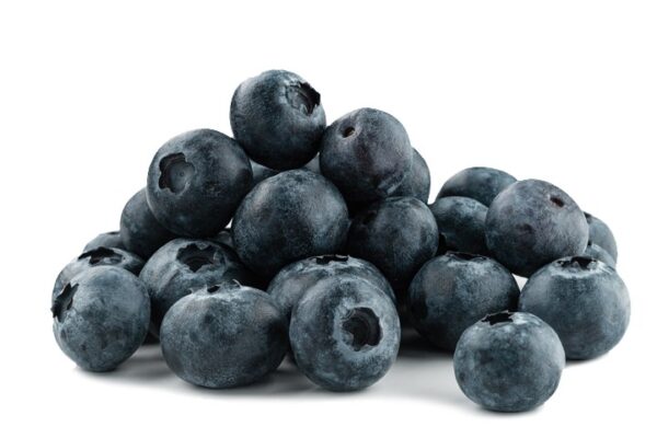 Organic Fresh Blueberry 125gr