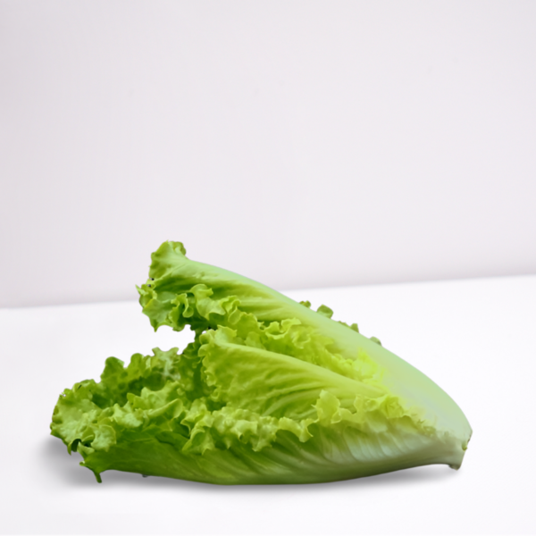 Organic Lettuce