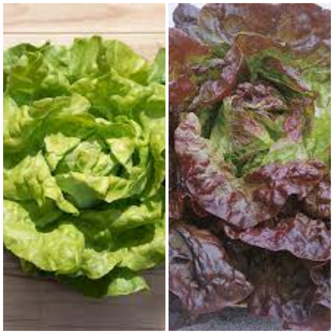 photo-collage.png (24)