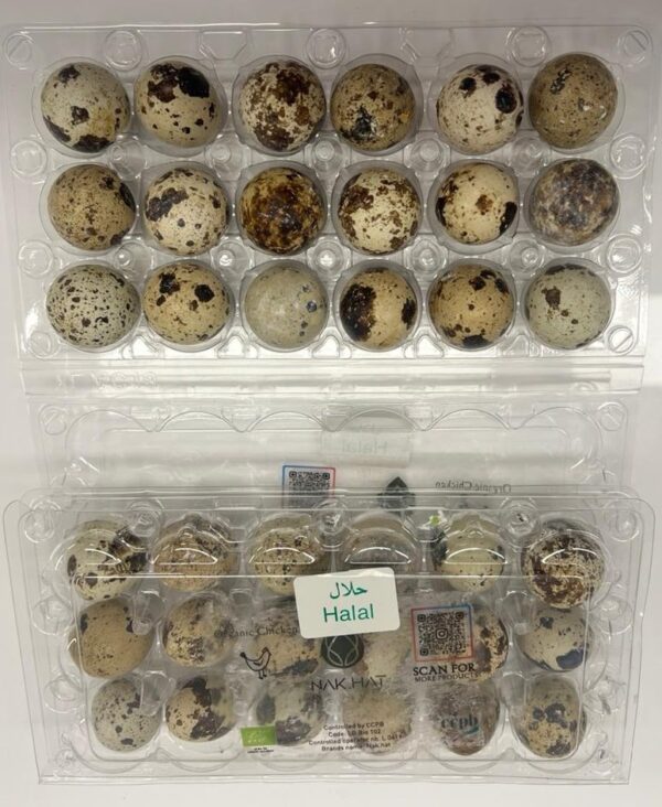 Organic Quail Eggs