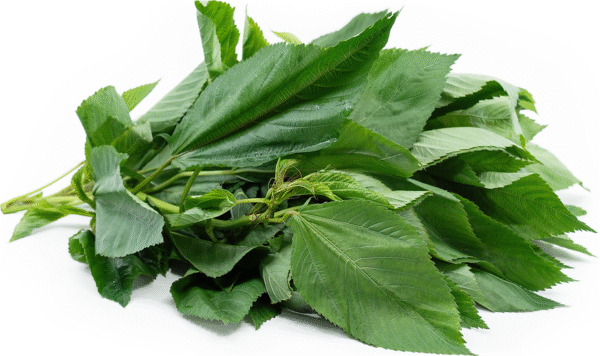 Organic Frozen Green Mloukhieh